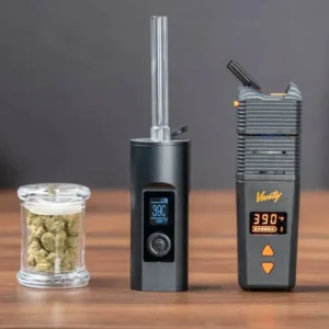 Elfworld 12000 Puffs Mint Menthol - Vape Shop ahmedabad
